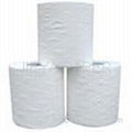 Toilet tissue 1