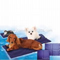 Pet ice pad, ice mat, hot and cold pack 1