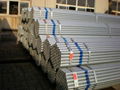 galvanized pipe