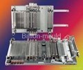Professional Supplier of Mould  1