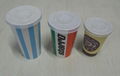 disposable paper cup