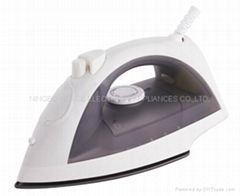 Steam/Spray Iron