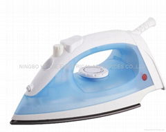 Steam/Spray Iron