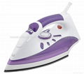 Full Function Steam Iron 2