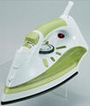 Full Function Steam Iron 4