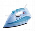 Full Function Steam Iron 5