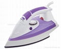 Full Function Steam Iron