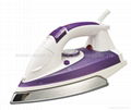 Full Function Steam Iron 1