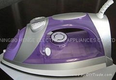 Full Function Steam Iron