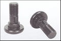 Special-shaped bolt of the high strength