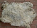 Dry goat skin 2