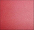 AOTUMOTIVE LEATHER