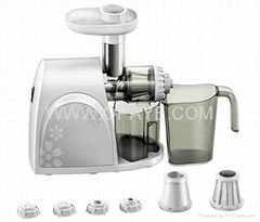 Screw Juice Extractor