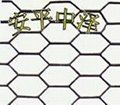 异型钢板网 龟甲型钢板网 温室苗床钢板网 圆孔钢板网 3