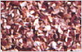 DEHYDRATED RED ONION GRANULES 1