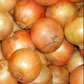 FRESH  YELLOW ONION  1