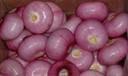 FRESH  PINK ONION FARM FRESH