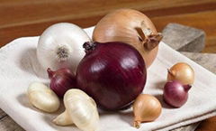 FRESH ONIONS DIRECT FARM FRESH EXPORTS