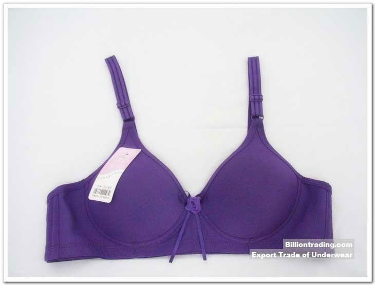 Smooth Non Wired Bra(3289)