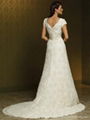 Short Sleeve A-line Lace Wedding Dress 2