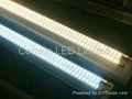 1200mm SMD 3528 T8 Tube 1