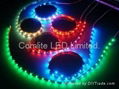 3528 SMD LED strip, 60LED/m 