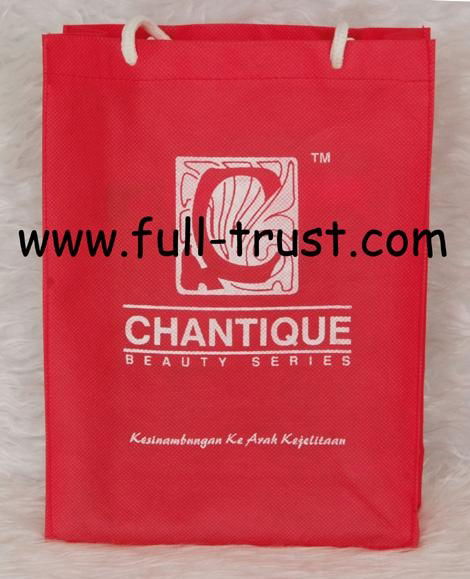 pp non woven shopping bag 3