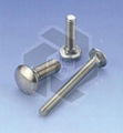 DIN603 Carriage Bolts