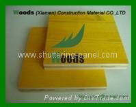 3 Ply Shuttering Panel for Construction