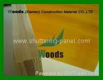 3 Ply Shuttering Panel for Construction 2
