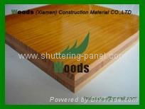 3 Ply Shuttering Panel for Construction 4