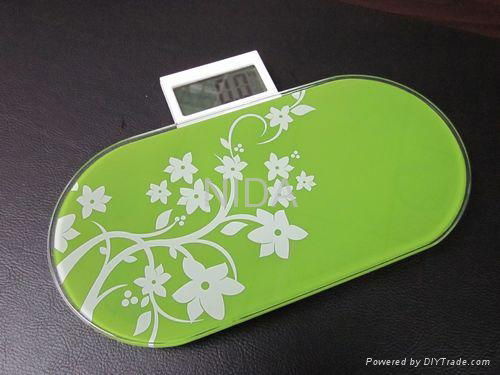 hosehold portable digital scale