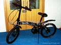 Aluminum alloy folding bike dolphin 1