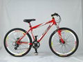 Rui aluminum mountain bike crown 1