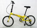 Dresser lion aluminum folding bicycle 5