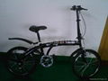 Aluminum alloy folding bike dolphin 2