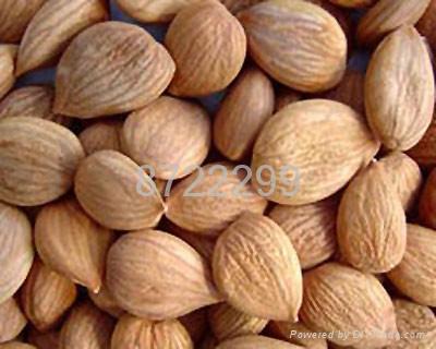 Seeds, Nuts & Kernels products 2