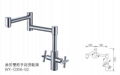  stainless steel faucet 2