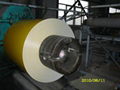 PPGI-PREPAINTED GALVANIZED STEEL COIL 1