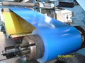 PPGI-PREPAINTED GALVANIZED STEEL COIL 1