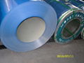 PPGI-PREPAINTED GALVANIZED STEEL COIL 1