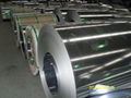 GI-GALVANIZED STEEL COIL 1