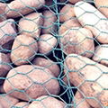 gabion mesh  1