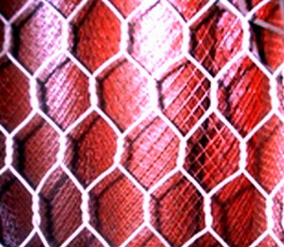 hexagonal mesh  2