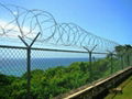 razor wire