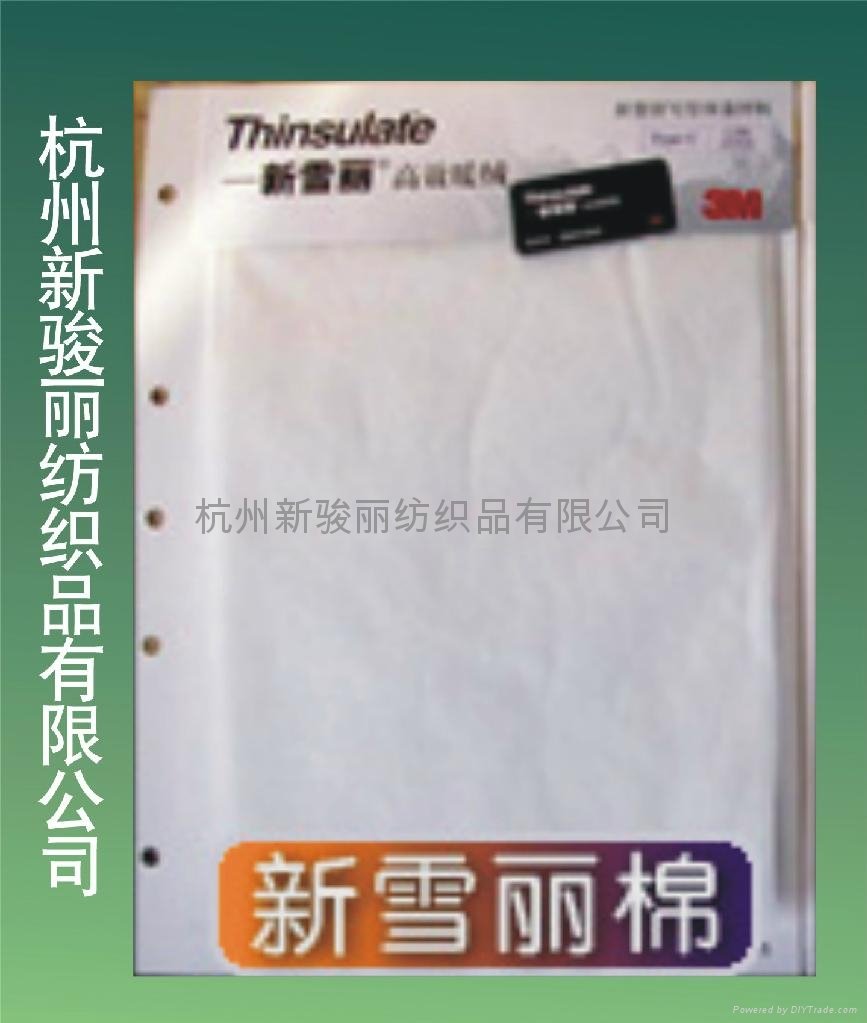 3M (Thinsulate) - efficient heat preservation cotton G-100g