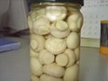 Canned mushroom 2