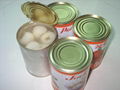 Canned lychee in light syrup 2