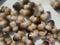 Canned straw mushroom 1