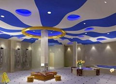 pvc ceiling